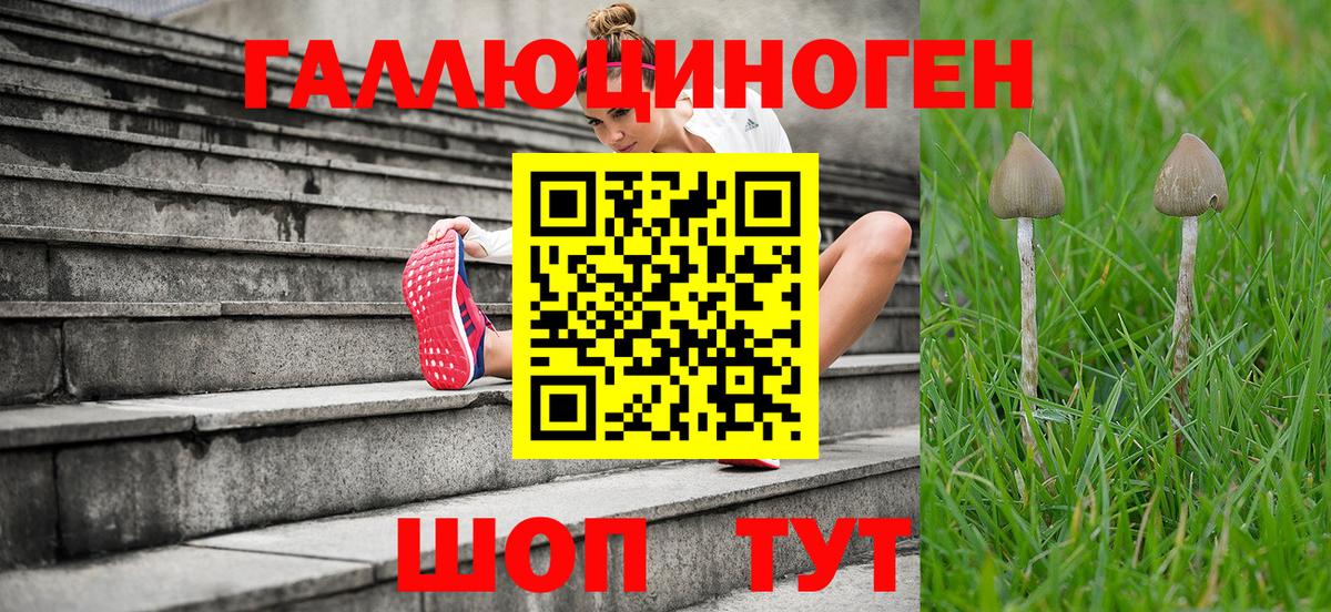 Псилоцибиновые грибы Psilocybe Егорьевск