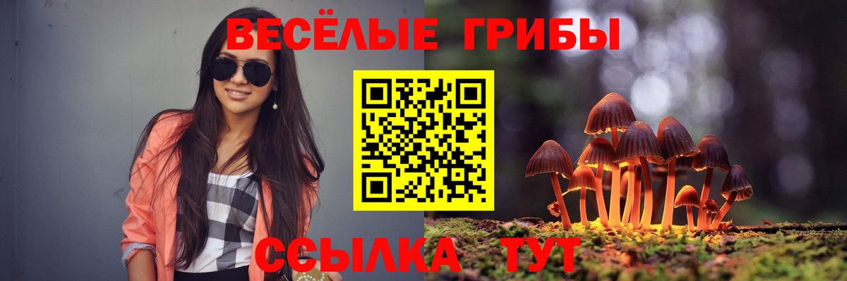 Галлюциногенные грибы прущие грибы  Галлюциногенные грибы мухоморы  Егорьевск  Вход с VPN 